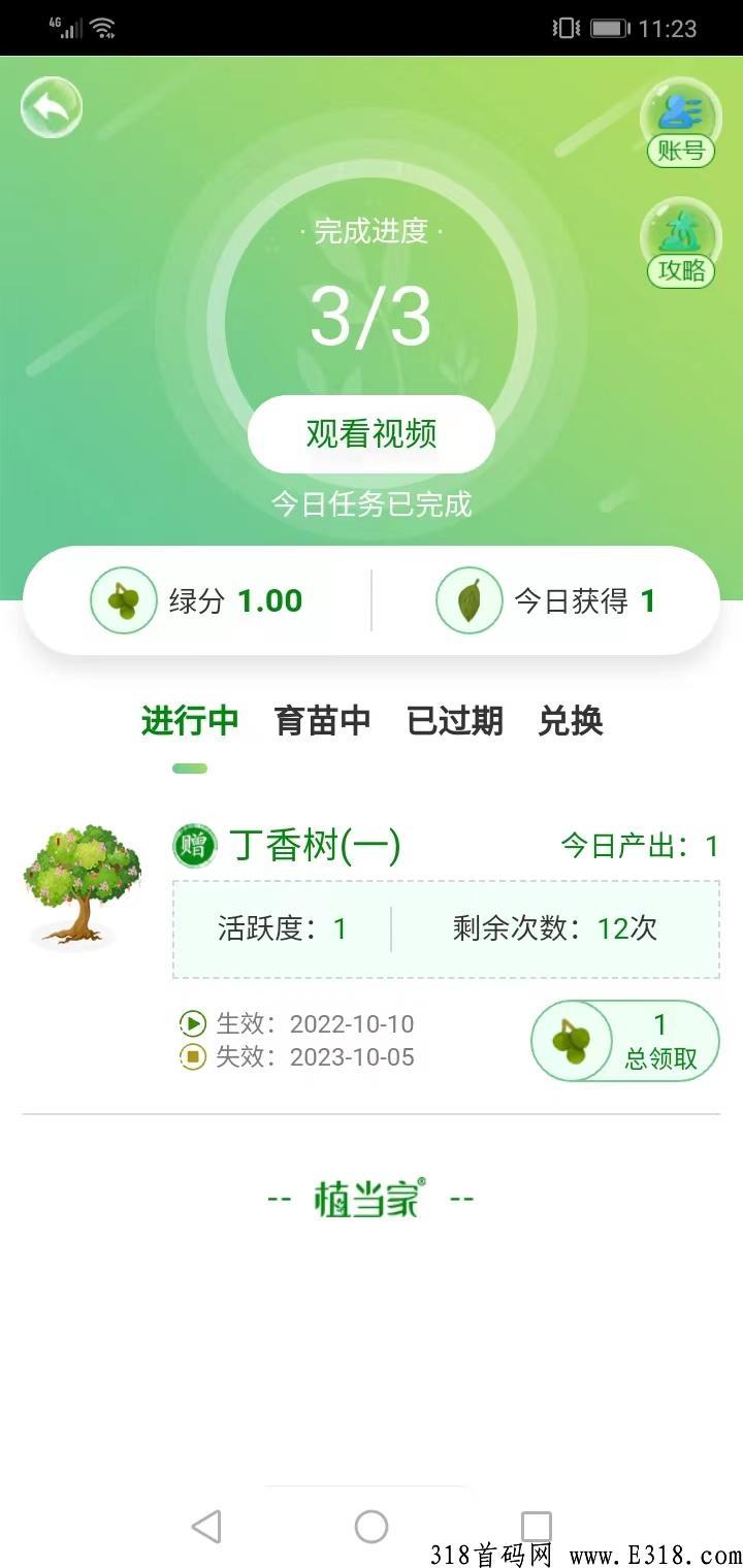 植当家，首码项目，淘粉模式，加速释放，黑马项目，首码测试，先期上车