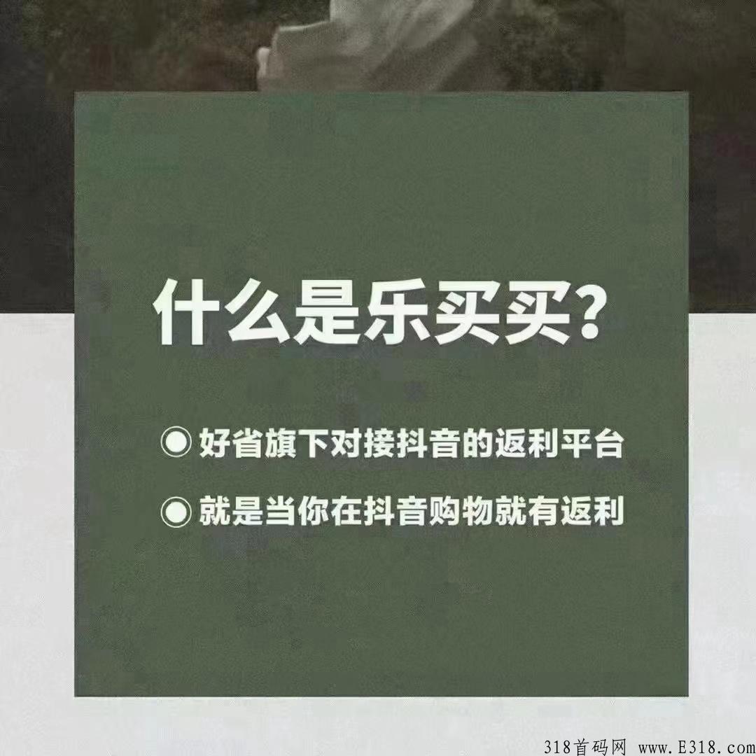 揭秘：火爆朋友圈的乐买买是什么，怎么赚米的
