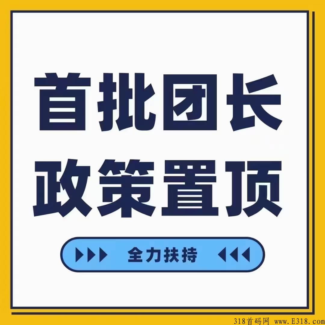 《数据v星球》广告电商首码，秒杀市面一场项目模式
