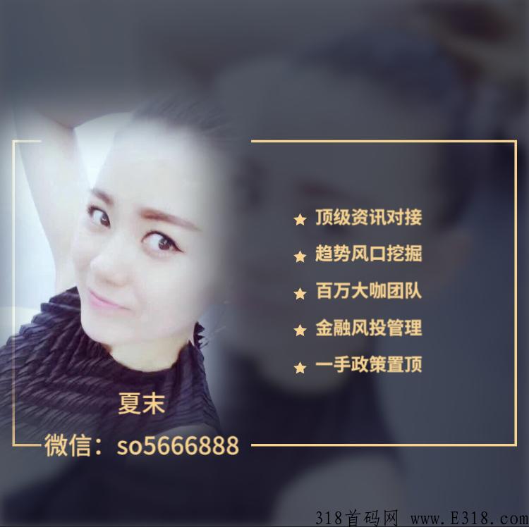跨年项目！新项目一手资讯！首码对接！