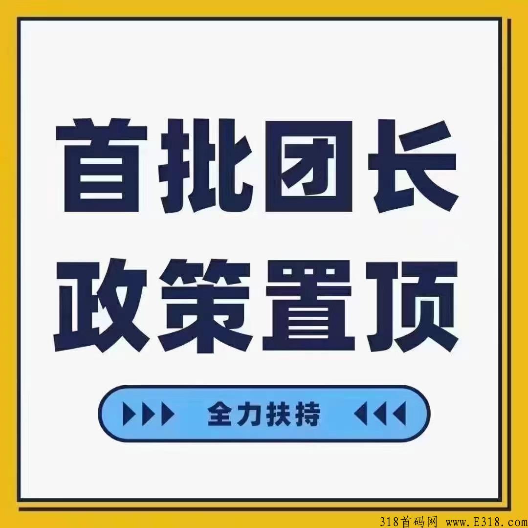 跨年项目！新项目一手资讯！首码对接！