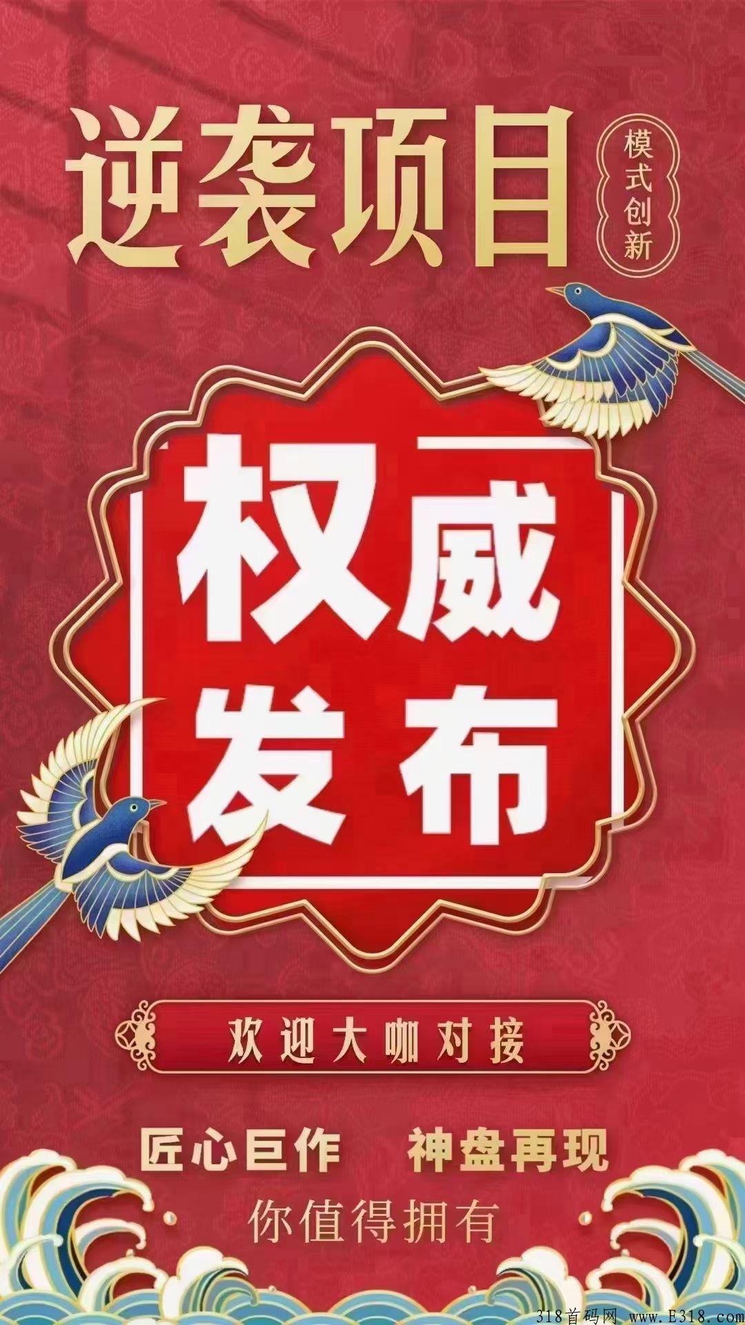 跨年项目！新项目一手资讯！首码对接！