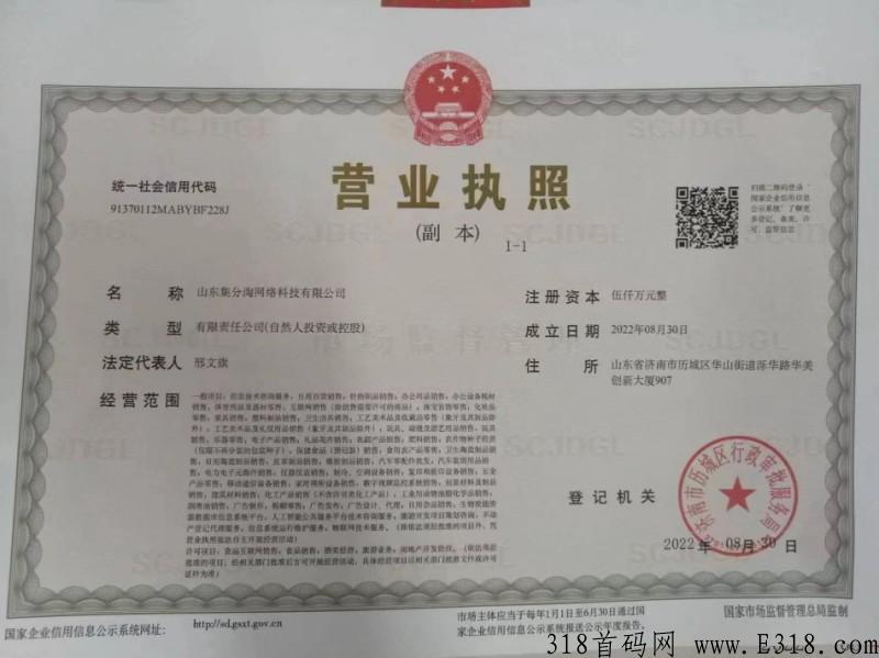 集分淘，即将上线，实体公司跨年项目，政策高