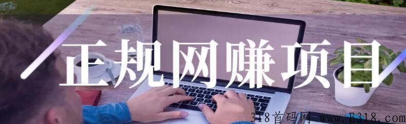 有偿问卷调查，每天轻松赚米，2022年最火项目
