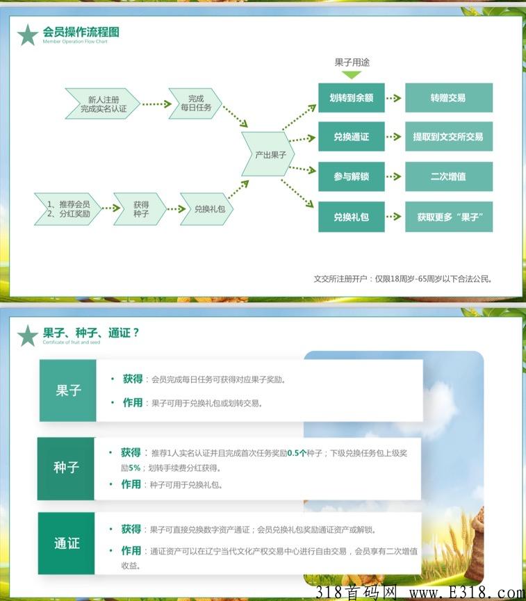 首码火爆项目（果农生活）卷轴加通证