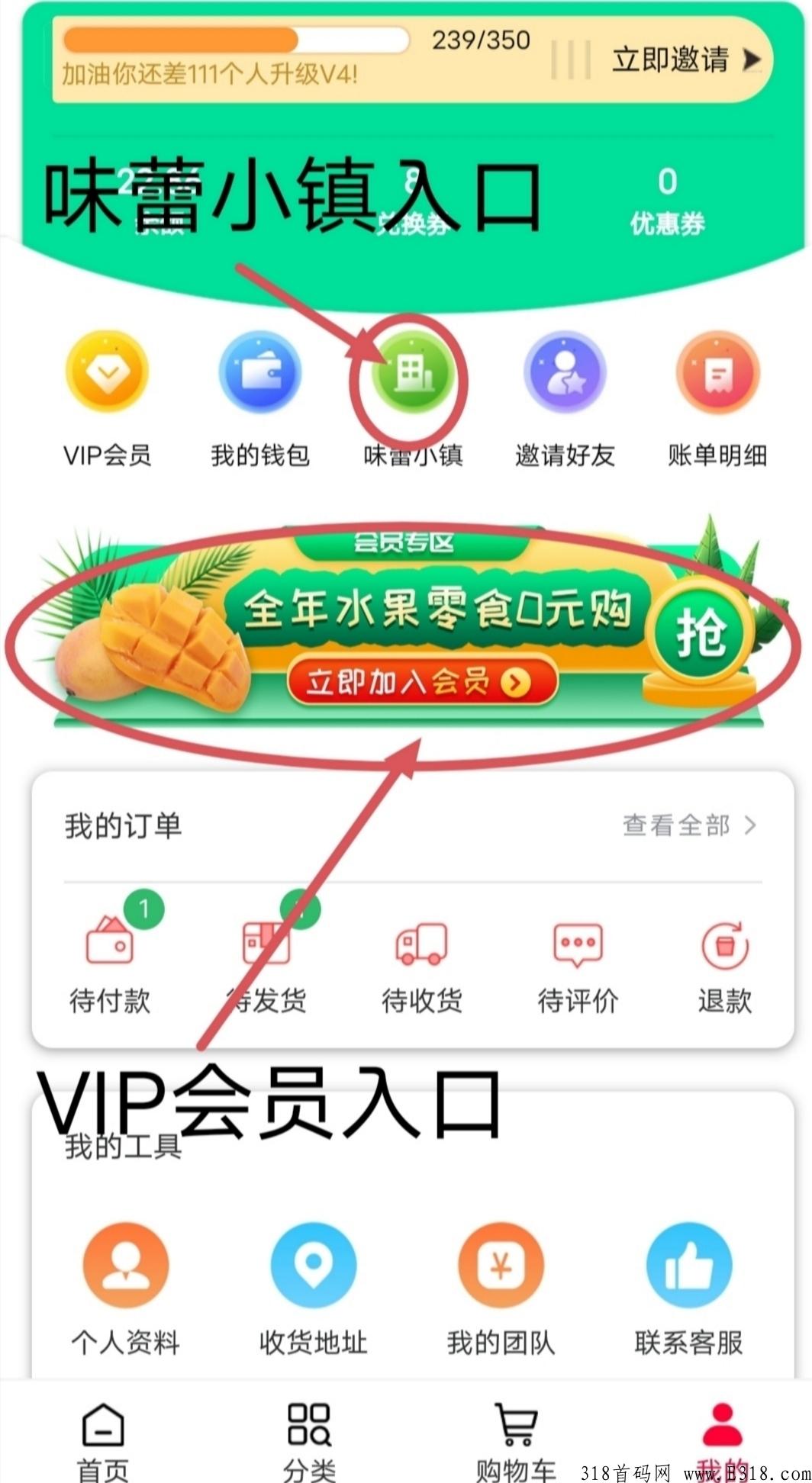 稳定项目味蕾稀品，2022年跨年项目