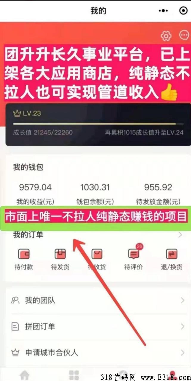 团生生2022年最牛项目，平台自动匹配下级，坐等收益，轻松躺赚