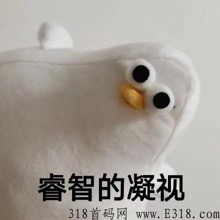 蓝海首码项目虚拟资源站经营，轻松拥有睡后收入！