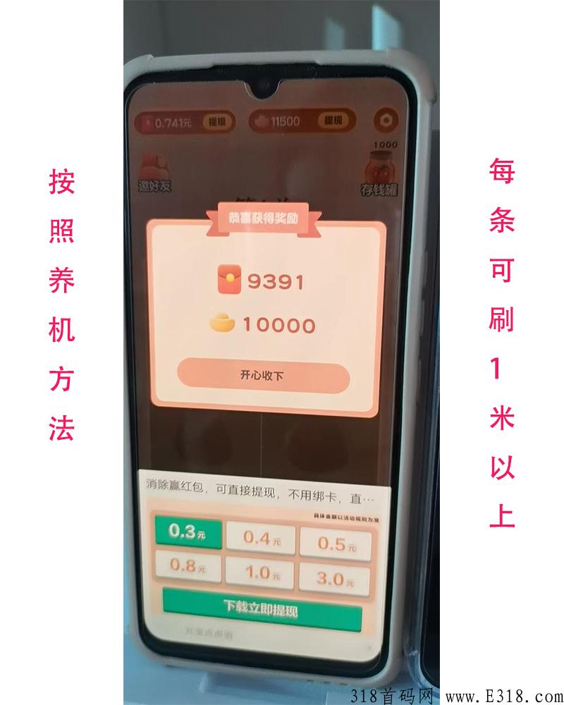 梦幻爱拼图一款刷广告视频app，按照养机方法，每日可30+秒T