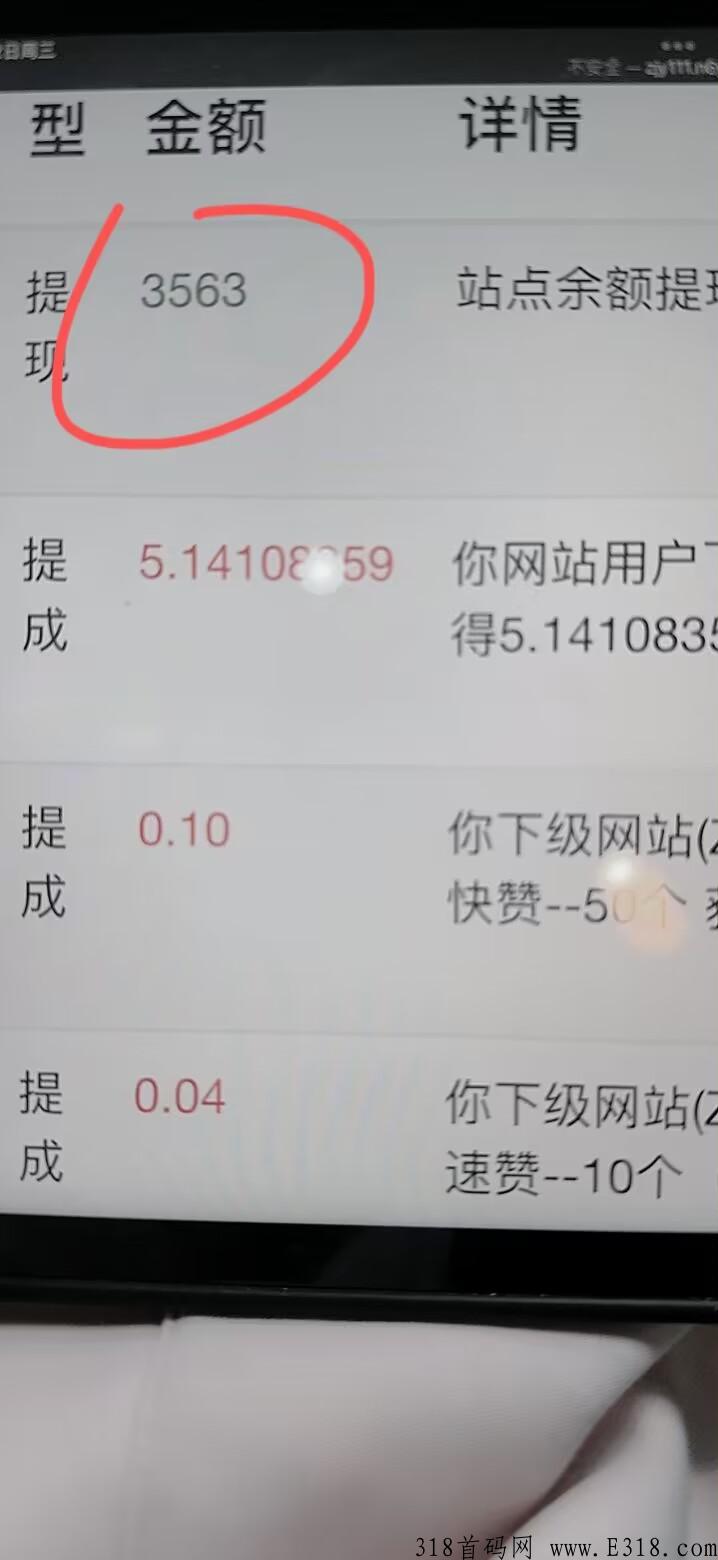 全自动虚拟资源项目，招代理，每天稳定收益100+