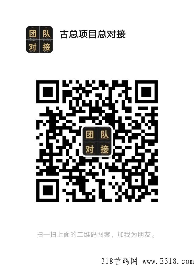 掌阅阁首码，项目新模式玩法，对接团队长