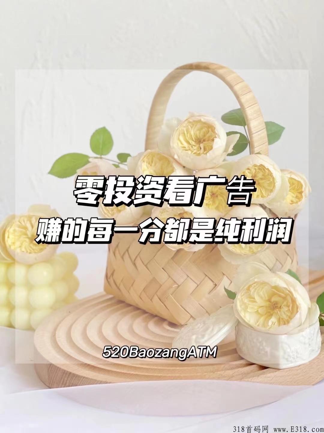 2023新项目0投资有喜有鱼