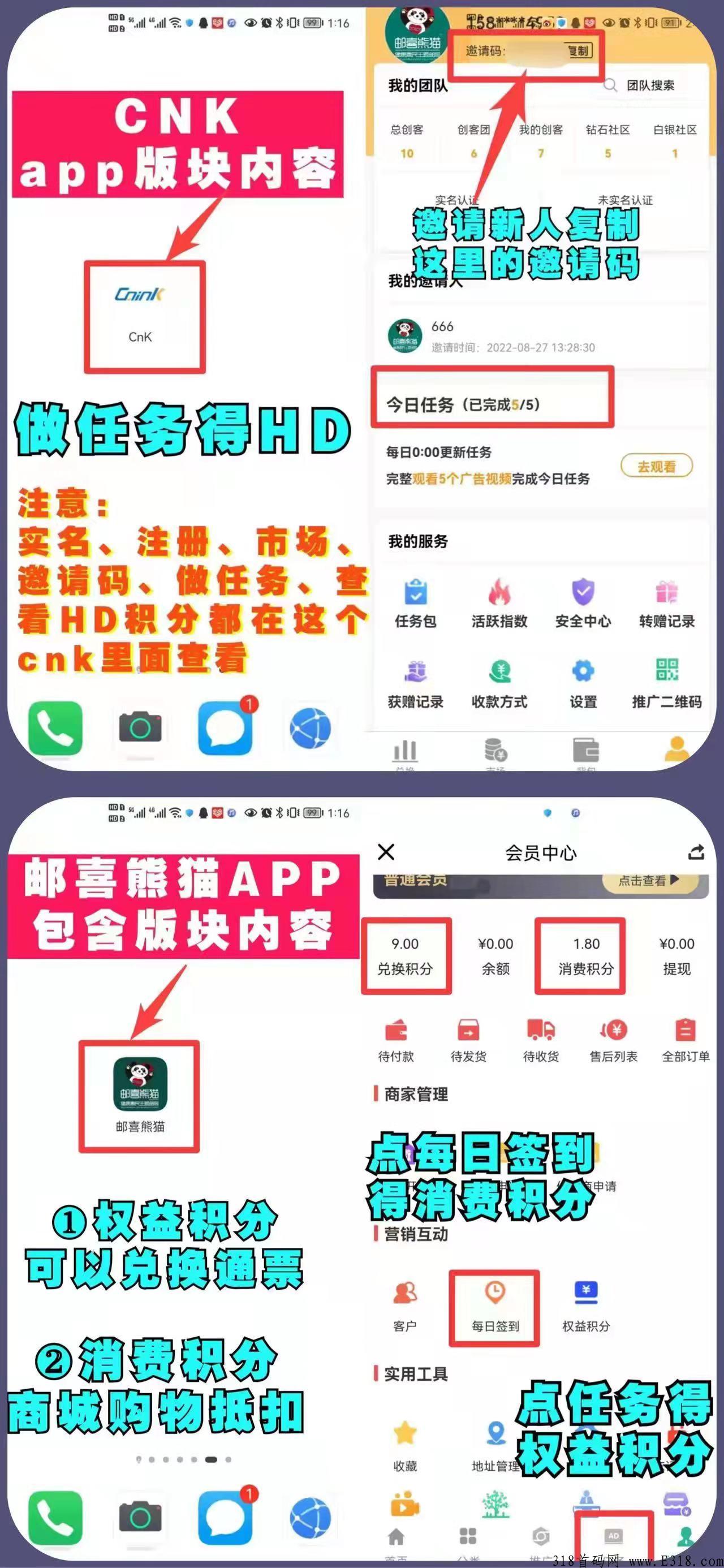 《邮喜熊猫》全新上线，两大收益，市场实力强大