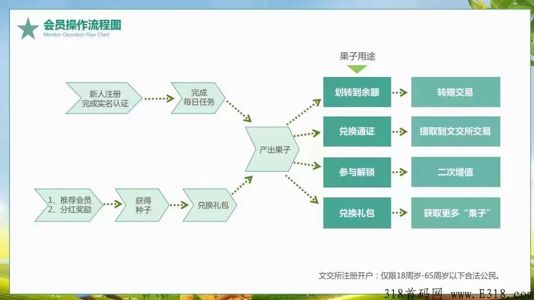 果农生活，干上就能起飞