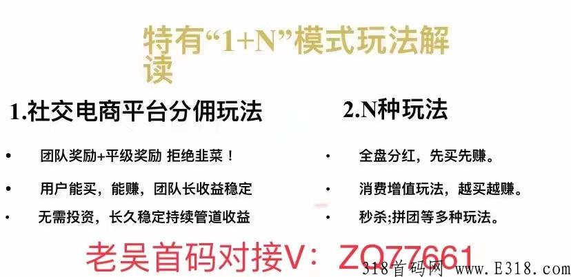 黑仓多样化玩法商城，多重管道收益，全网对接领导人