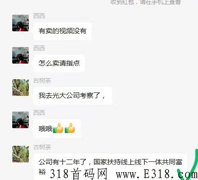 星力推【光大旅游】去过分公司，机刷代推全部封号