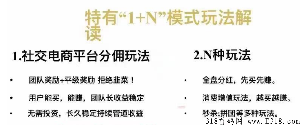 黑仓是什么平台？商城首码对接全网合伙人