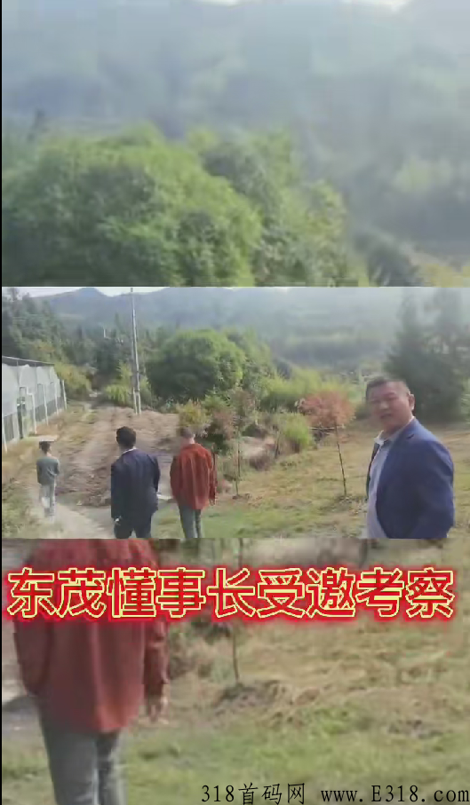 首码东茂优品，真正实体企业，董事长亲自考察植物底，一个价高！