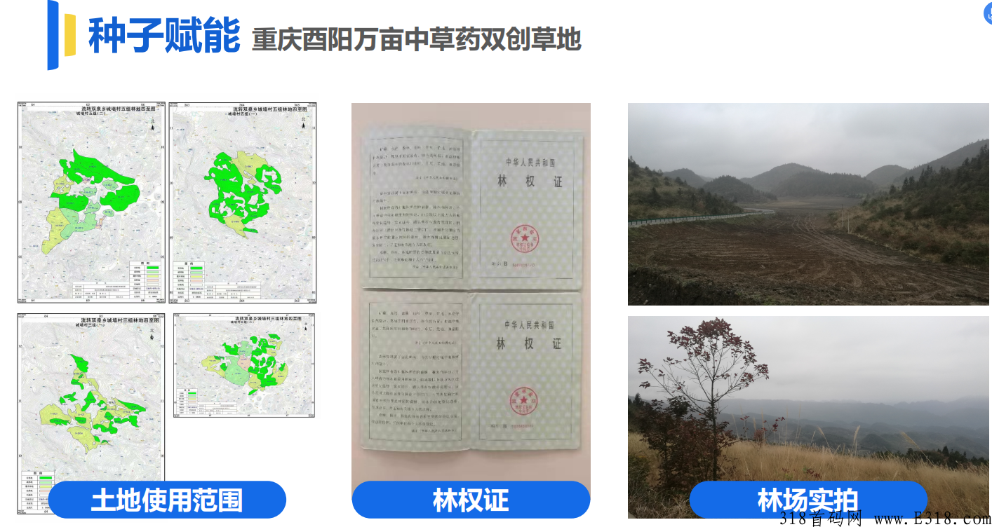 首码东茂优品，真正实体企业，董事长亲自考察植物底，一个价高！