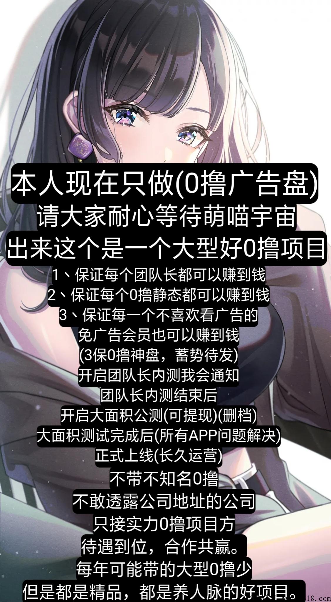 萌喵宇宙(市场部招团队)，输在犹豫，赢在行动
