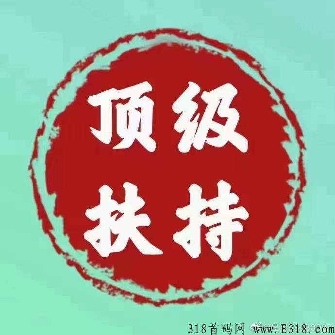泰山SUN预热，最高对接，全新机制，泰山众筹创始团队原班人马发起