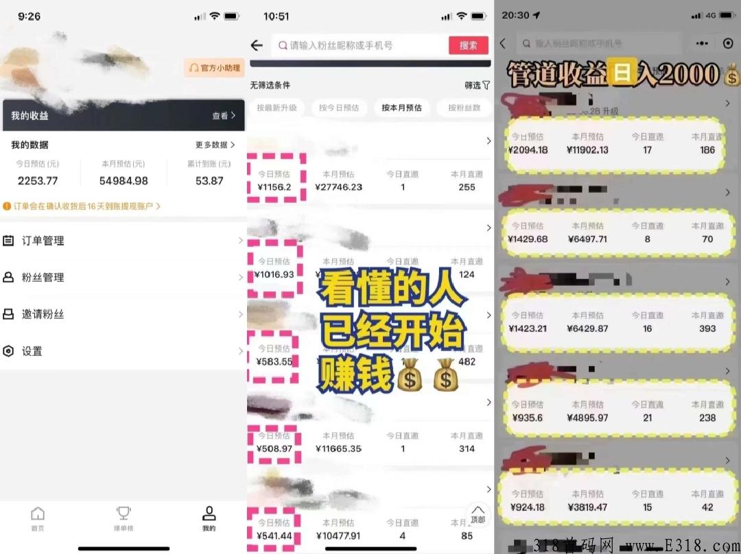 优惠券，返利项目