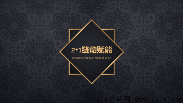 链动2+1模式系统介绍