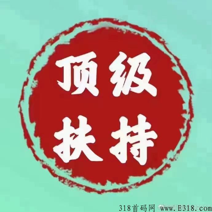 泰山SUN，首码预热，全网最高扶持，泰山众筹创始团队原班人马发起。