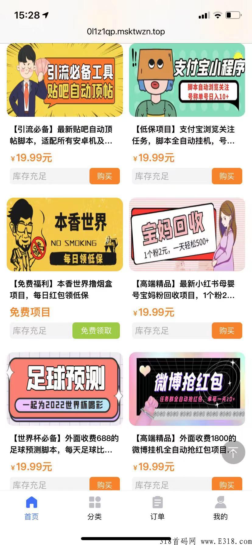 网络虚拟项目，资源网推地推全新项目