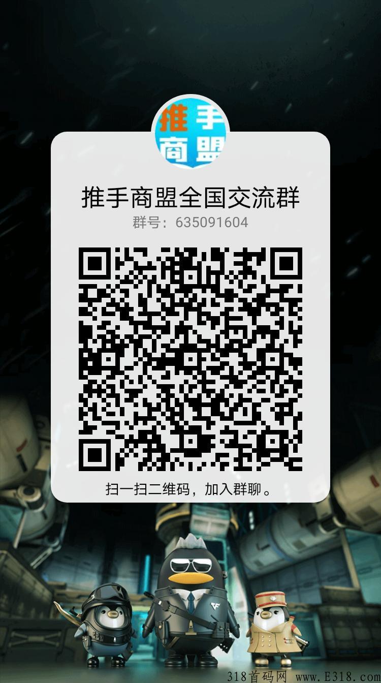 推手商盟对接全网团队长