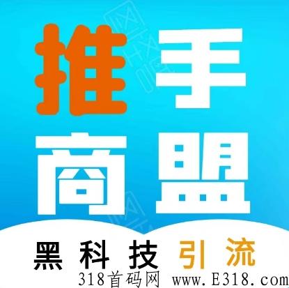 推手商盟对接全网团队长