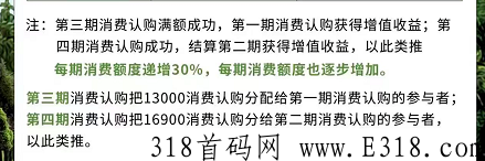 芳香小镇乐园泰山众筹玩法，自动循环止损重生裂变模式项目首码