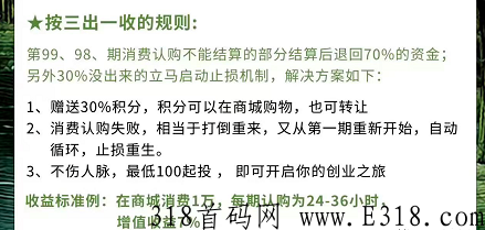 芳香小镇乐园泰山众筹玩法，自动循环止损重生裂变模式项目首码