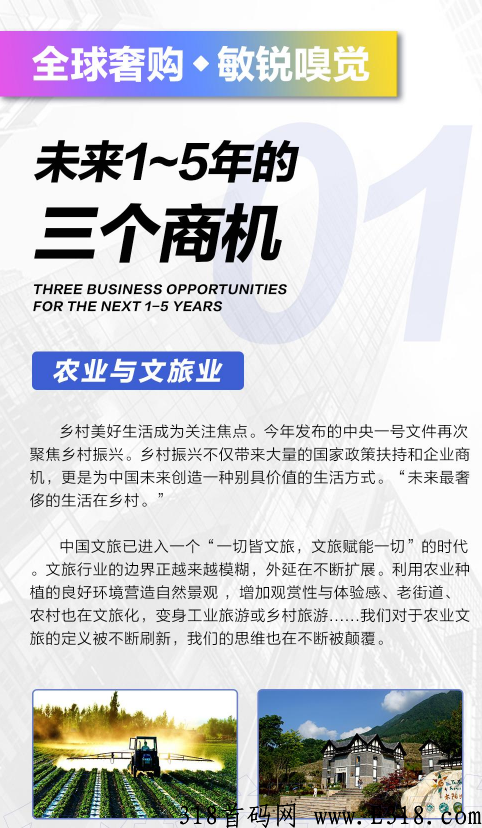 全球奢购，火爆全球