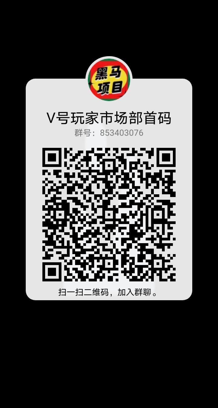 V号玩家市场部首码对接，团队长最高扶持