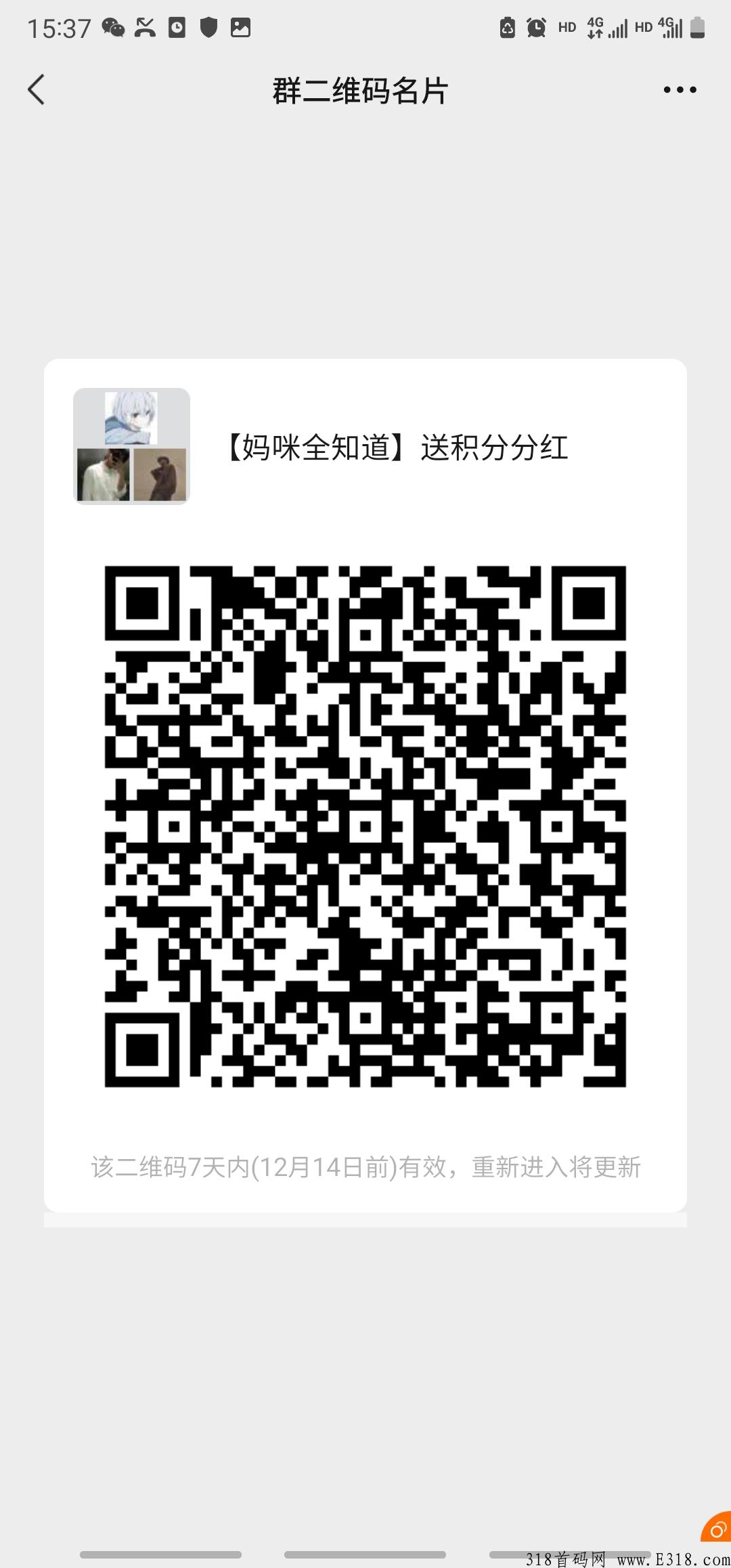 妈咪全知道，错过君凤凰的来
