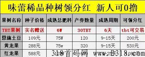 味蕾小镇，最稳定项目，已稳半年