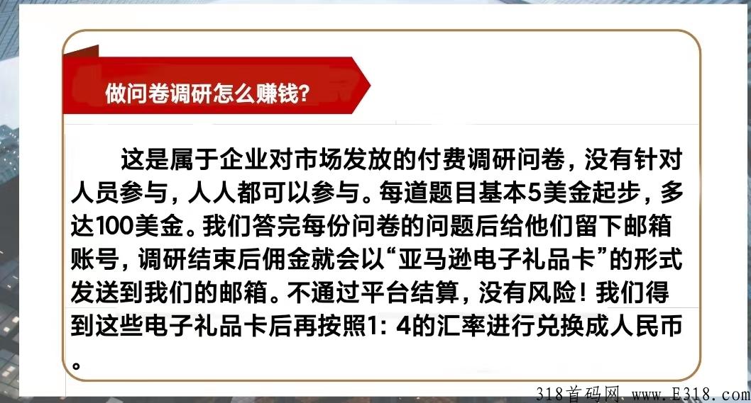 海外问卷调查，新首码项目