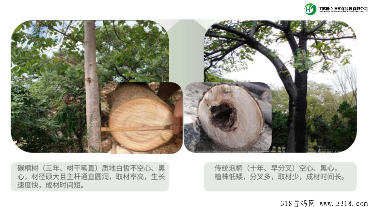 实体长久项目