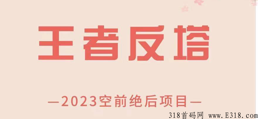 王者反塔，首创模式，2023跨年火爆项目，一起来反塔