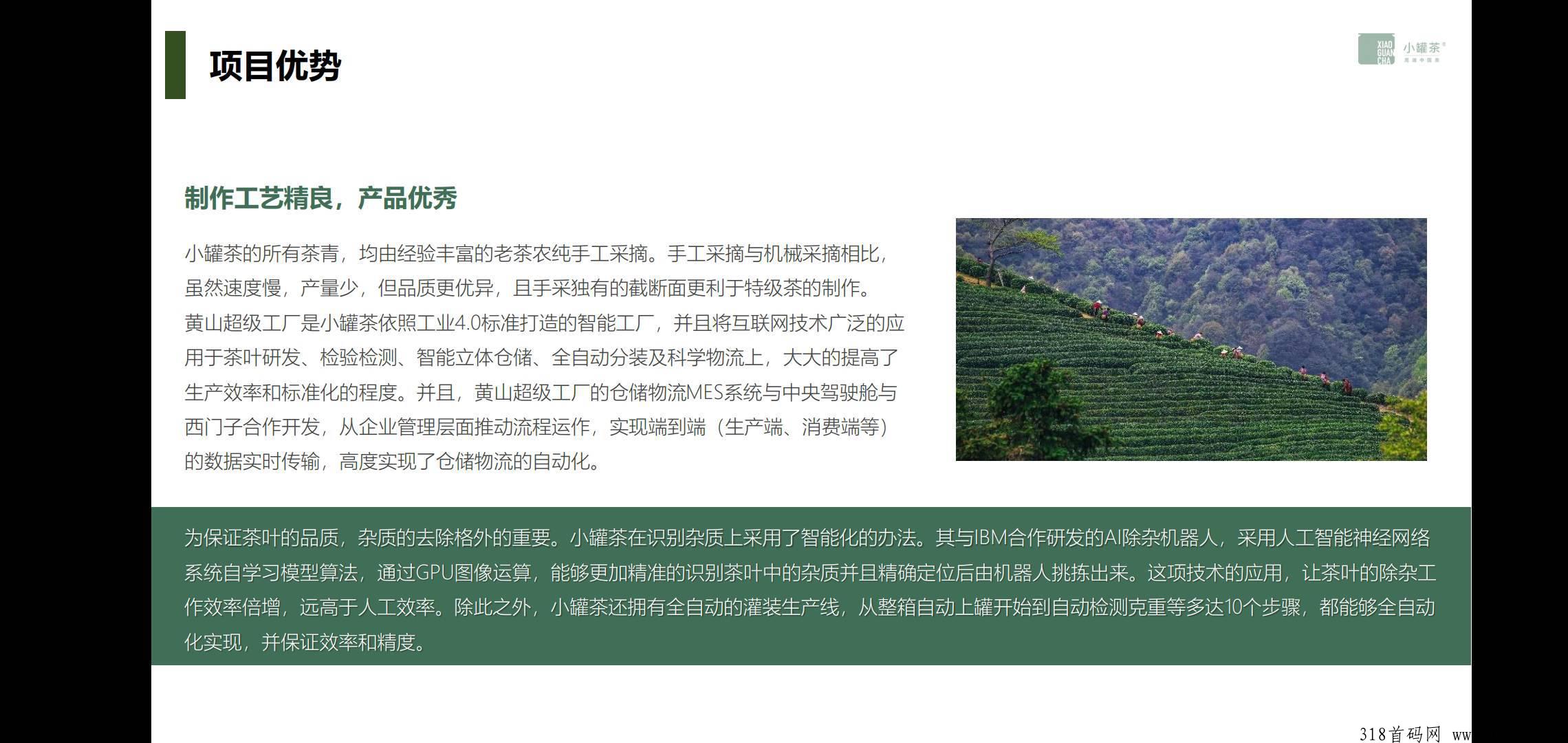 小罐茶，长期稳定发展项目