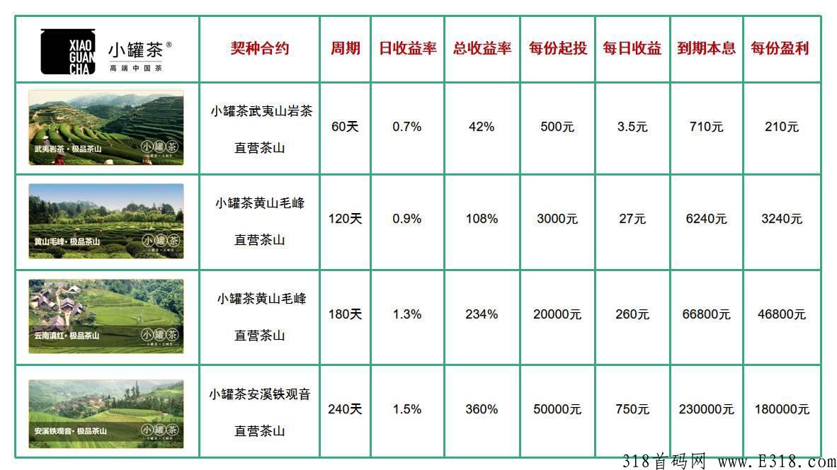 小罐茶，长期稳定发展项目