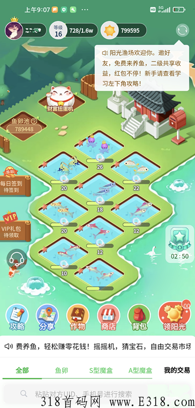 阳光渔场，抢占先机