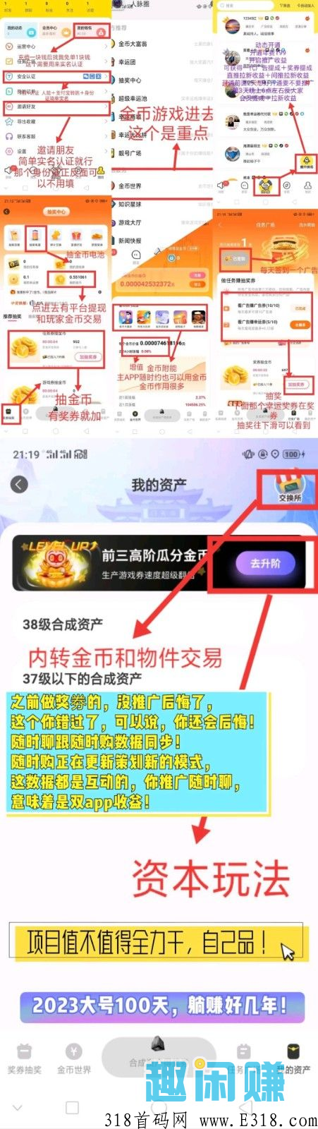 金币世界，新首码项目，年前王炸