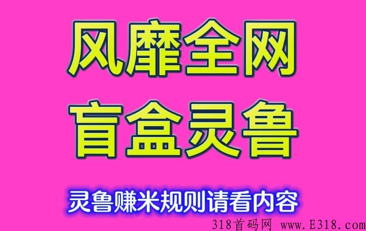 江洋大dao，今年最好最火赚米平台盲盒地区火爆进行中