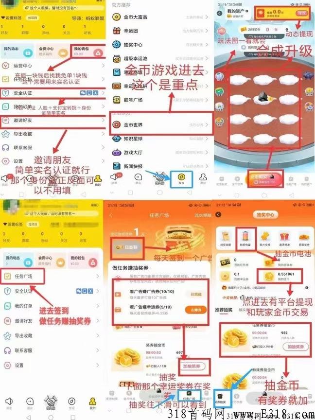 金币世界，王炸项目黑马长久稳定，全网最高扶持