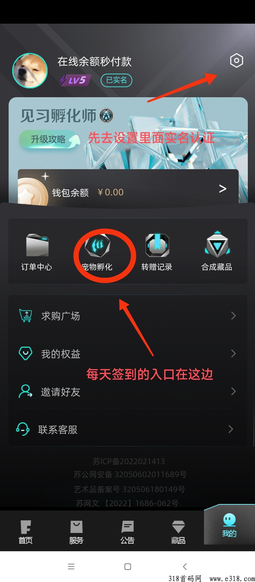 非梵艺术，还有这么好的上级吗，全额报销复投