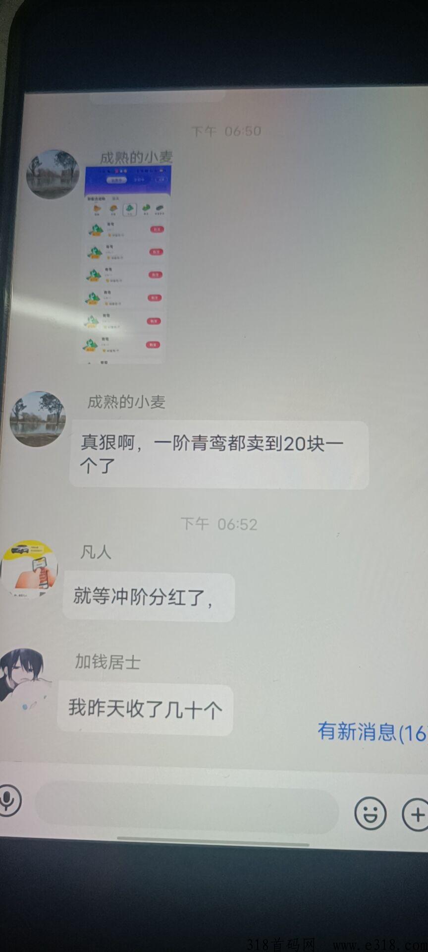 随时聊，金币世界大盘，免费带新人小白，全网最火项目，对接大小团队