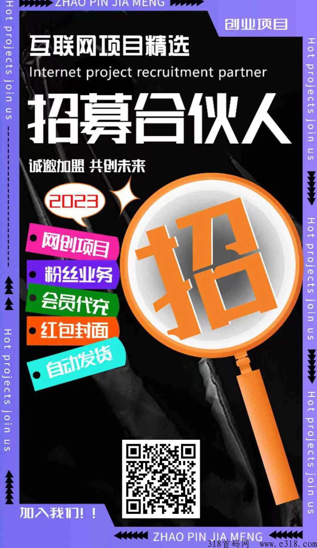 全球网赚联盟，新首码项目