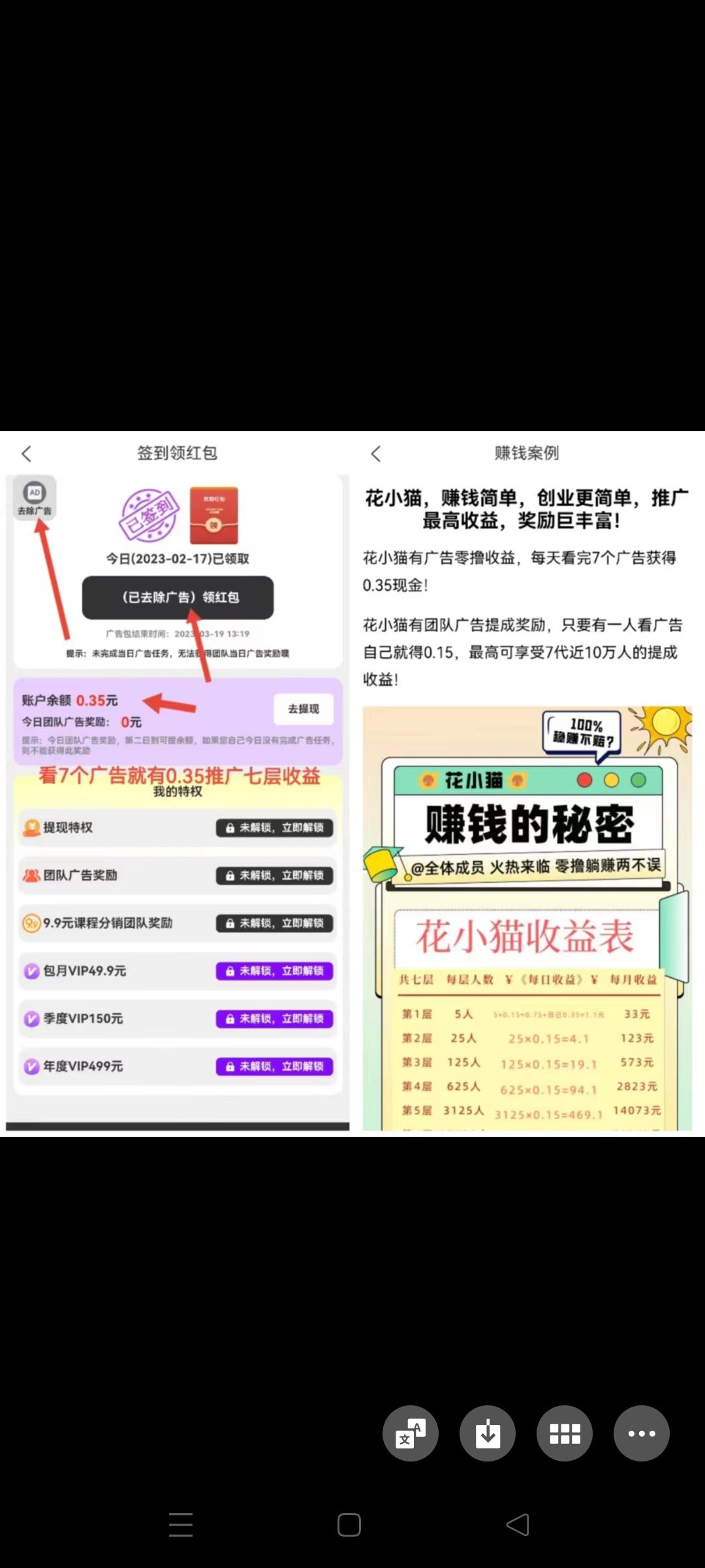 花小猫首码刚出，项目天花板